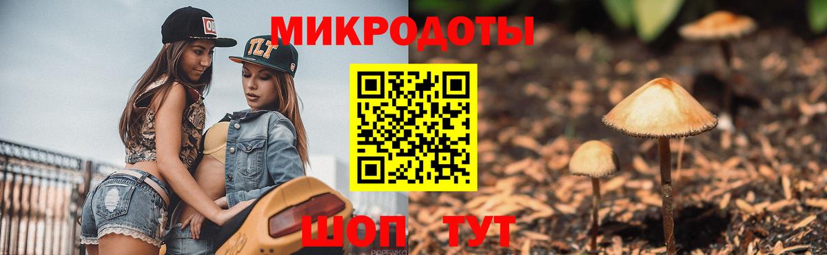Псилоцибиновые грибы мицелий Заводоуковск